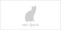Серия "Скарлетт" 5 арт.